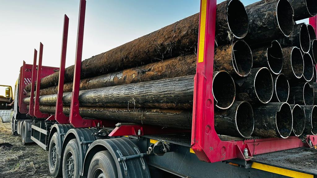 изображение карусель